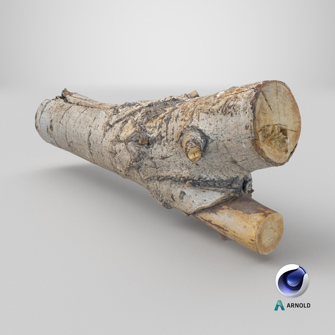 3D Tree Bark Scanned 6 StemCell https://p.turbosquid.com/ts-thumb/WC/ZgnYNc/TC/stemcell_cinema_4d_arnold_render/png/1727792294/1920x1080/fit_q87/9324f2981a6cb3bbe7bf42a81461af07cdfe4d67/stemcell_cinema_4d_arnold_render.jpg