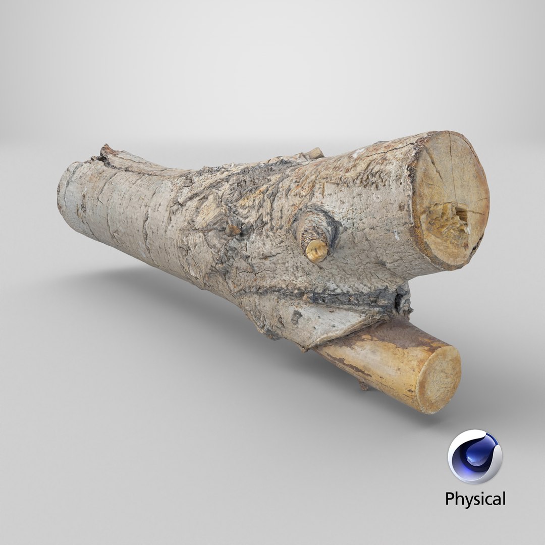 3D Tree Bark Scanned 6 StemCell https://p.turbosquid.com/ts-thumb/WC/ZgnYNc/XL/stemcell_cinema_4d_physical_render/png/1727792296/1920x1080/fit_q87/5c2bdbc984ac4c658e062054549bb31ffb3e90cd/stemcell_cinema_4d_physical_render.jpg
