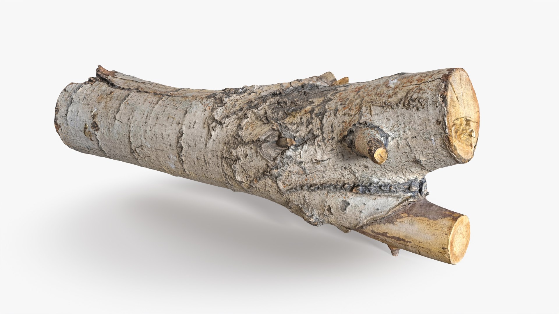 3D Tree Bark Scanned 6 StemCell https://p.turbosquid.com/ts-thumb/WC/ZgnYNc/eO/bark_06_p02/jpg/1726240821/1920x1080/fit_q87/cda4fdde0e51d99c80a2707e04e4f4b0f866027d/bark_06_p02.jpg
