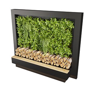 3D Collection plant vol 639 - fitowall - fern - bush