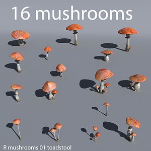 r mushrooms 001 max