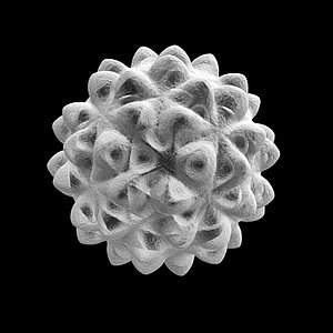 PollenBacteria .max