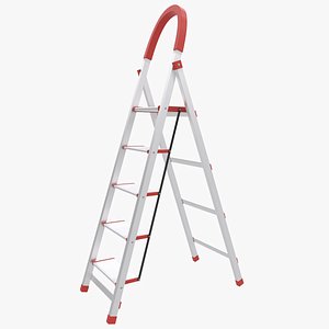 Folding Ladder