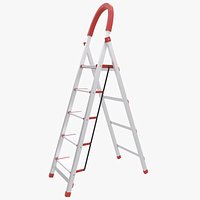 Folding Ladder