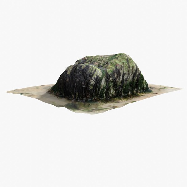 3D Rock 3D Scan 26