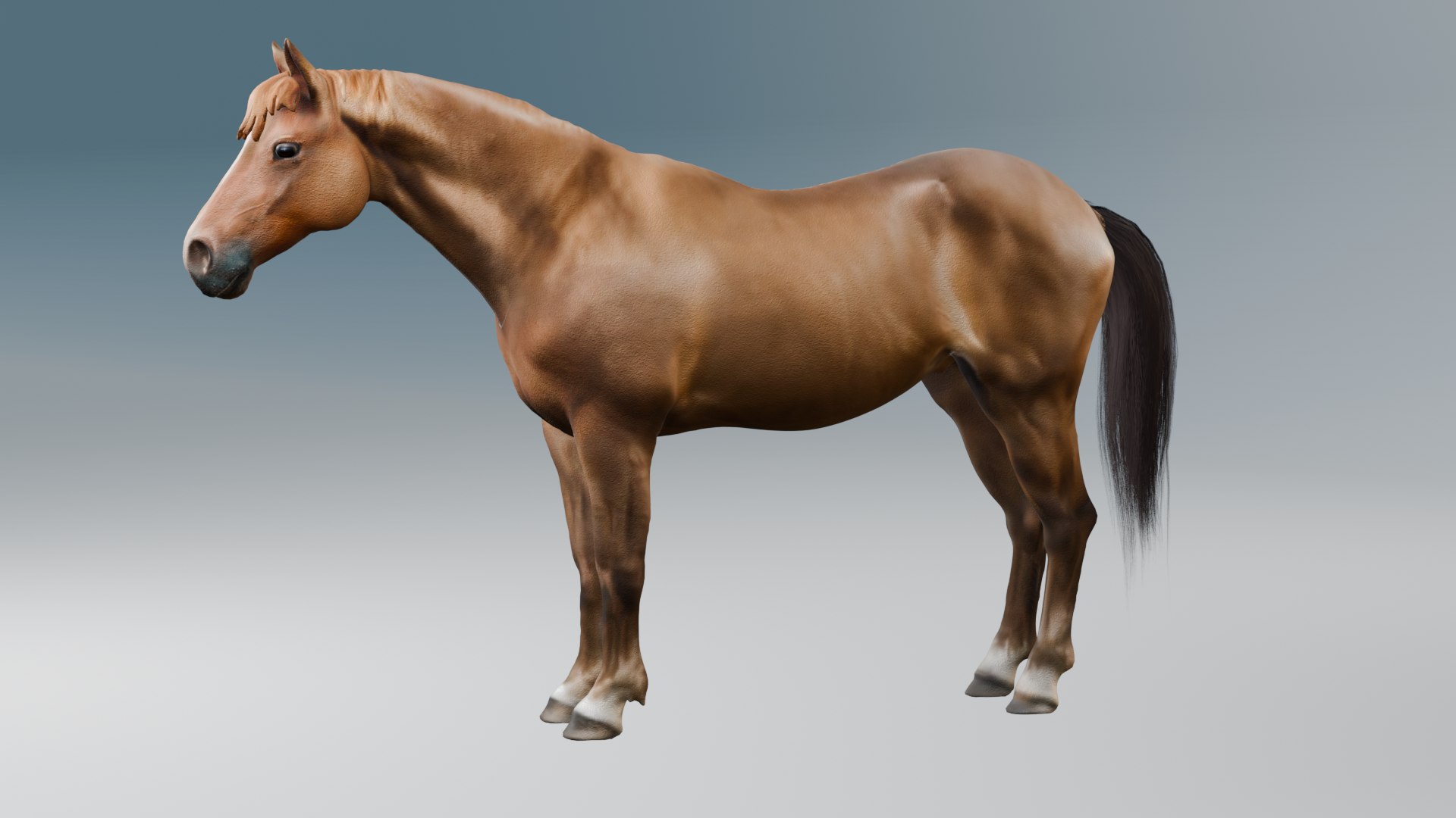 3D Cowboy and Horse Character Pack with Mount-Dismount Animations 3D model https://p.turbosquid.com/ts-thumb/WD/4dyQzO/F4/horse1/png/1780995401/1920x1080/fit_q87/9cac0dec82e49ca09bccd34aa04112667ed52a6b/horse1.jpg