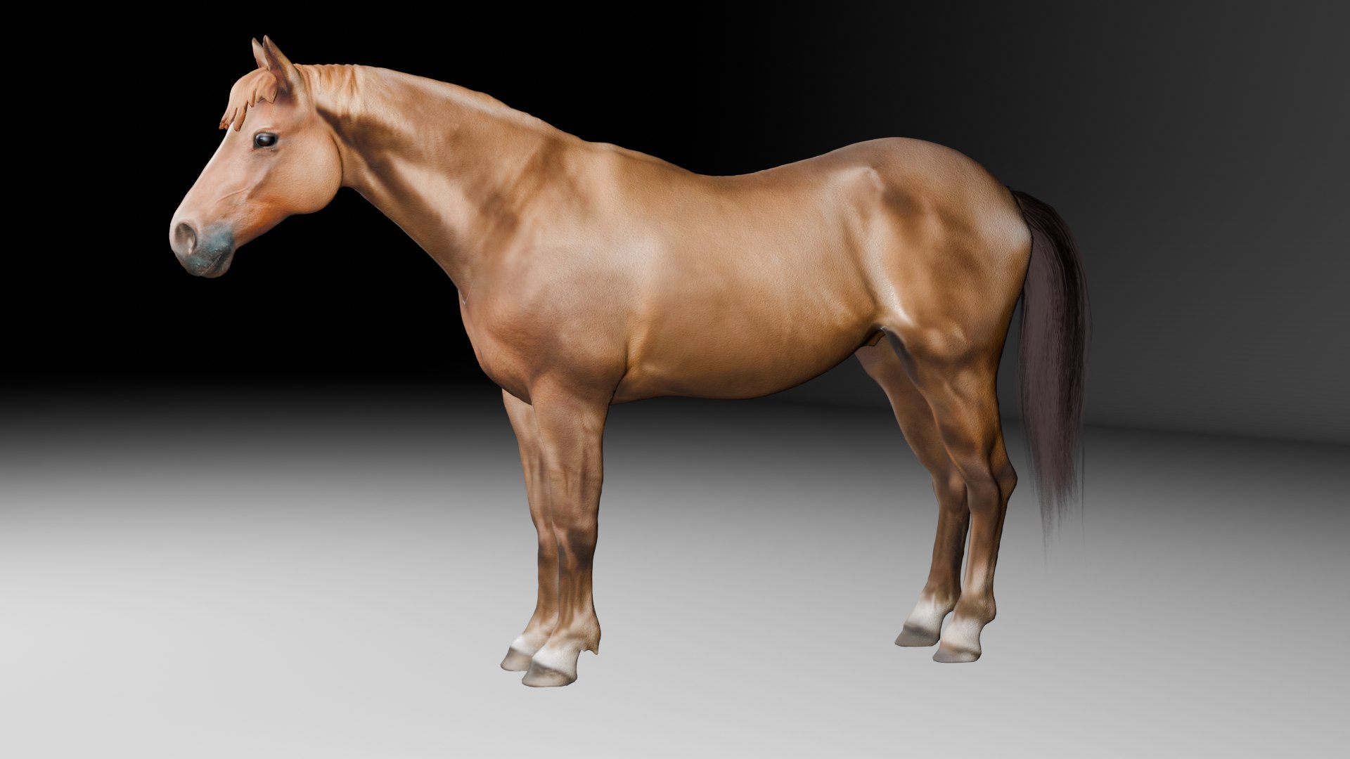 3D Cowboy and Horse Character Pack with Mount-Dismount Animations 3D model https://p.turbosquid.com/ts-thumb/WD/4dyQzO/yG/horse/png/1780995374/1920x1080/fit_q87/1d4a6a8add91510a2e682785c9a378a0f3daa824/horse.jpg