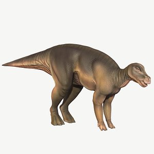Protohadros
