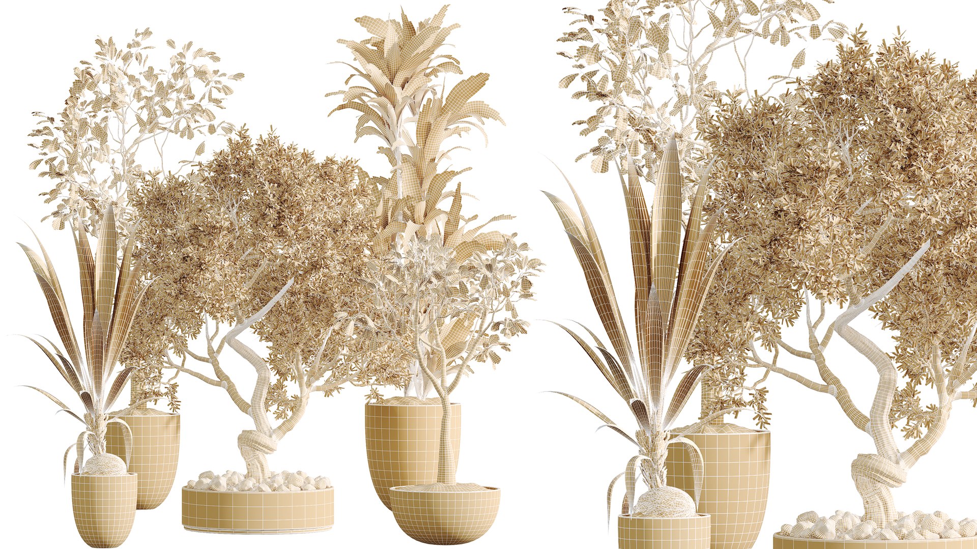 AV Indoor Plants Set 478 Ficus Cane Dragon Bonsai Coconut Palm model https://p.turbosquid.com/ts-thumb/WD/E2GPpc/Ed/07/png/1783320985/1920x1080/fit_q87/5ce42b69ea8de780bc5d8e1aea5ebfc1014a1580/07.jpg