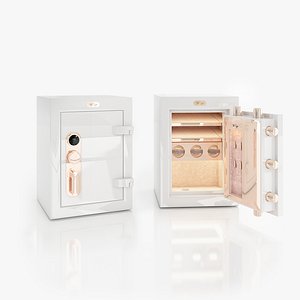 Luxury Safe