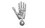 関節式アームハンド bjddoll 3DHands JointedHands BJDHands MovableHand HandPoses DollHa
