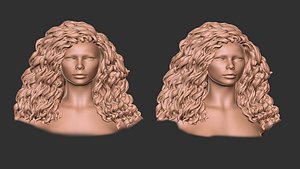 3D hair 39 model