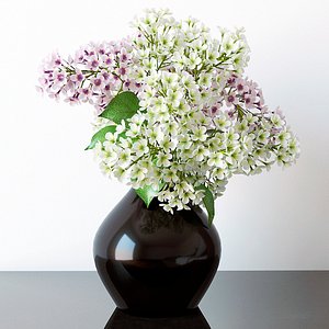 Lilac