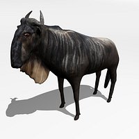 Gnu
