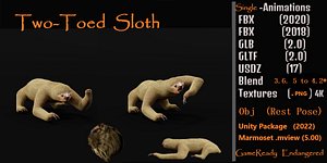 Two Toed Sloth model