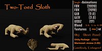 Two Toed Sloth
