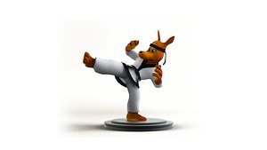 3D Taekwondo Kangaroo martial artist  boxer