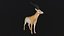 Gazelle