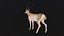 Gazelle