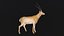 Gazelle