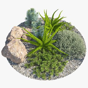 Garden plants 3D model