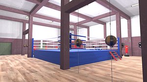 3D model vr boxing hall -