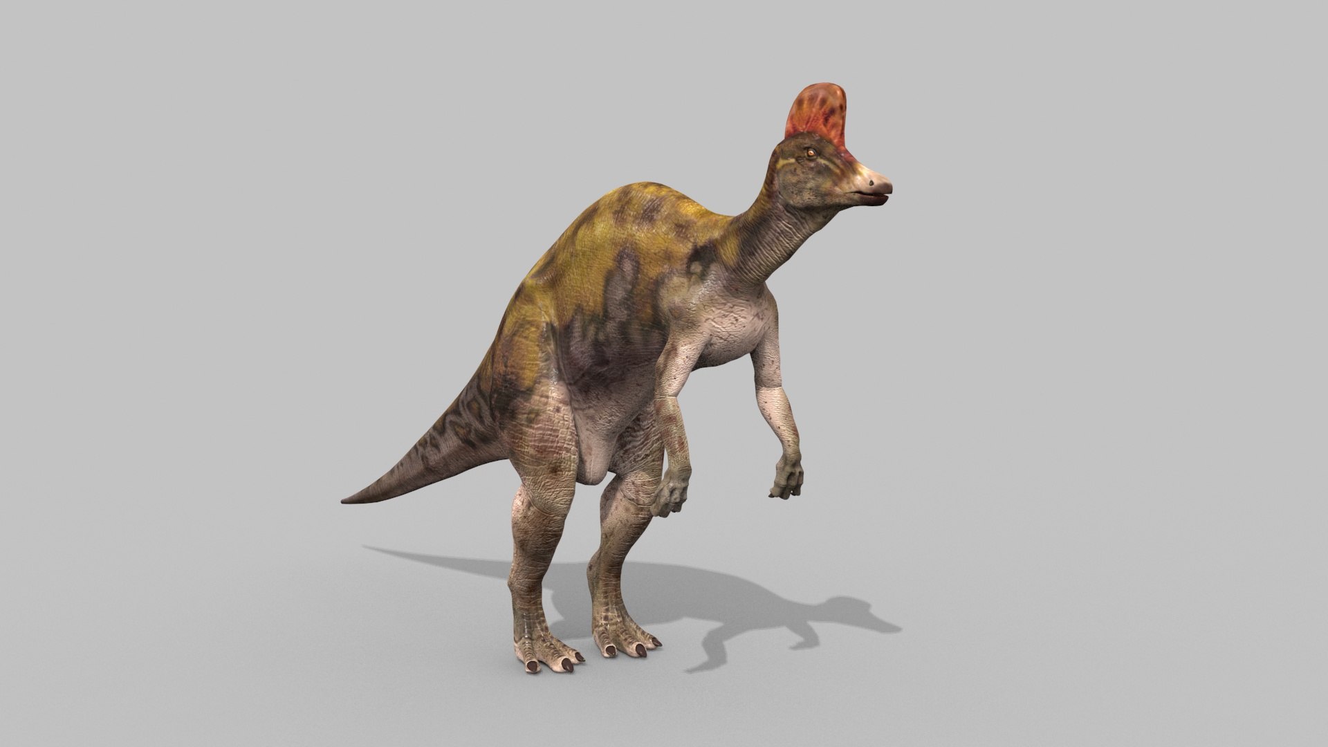 Real Animated Corythosaurus HD 3D Model - TurboSquid 2254511