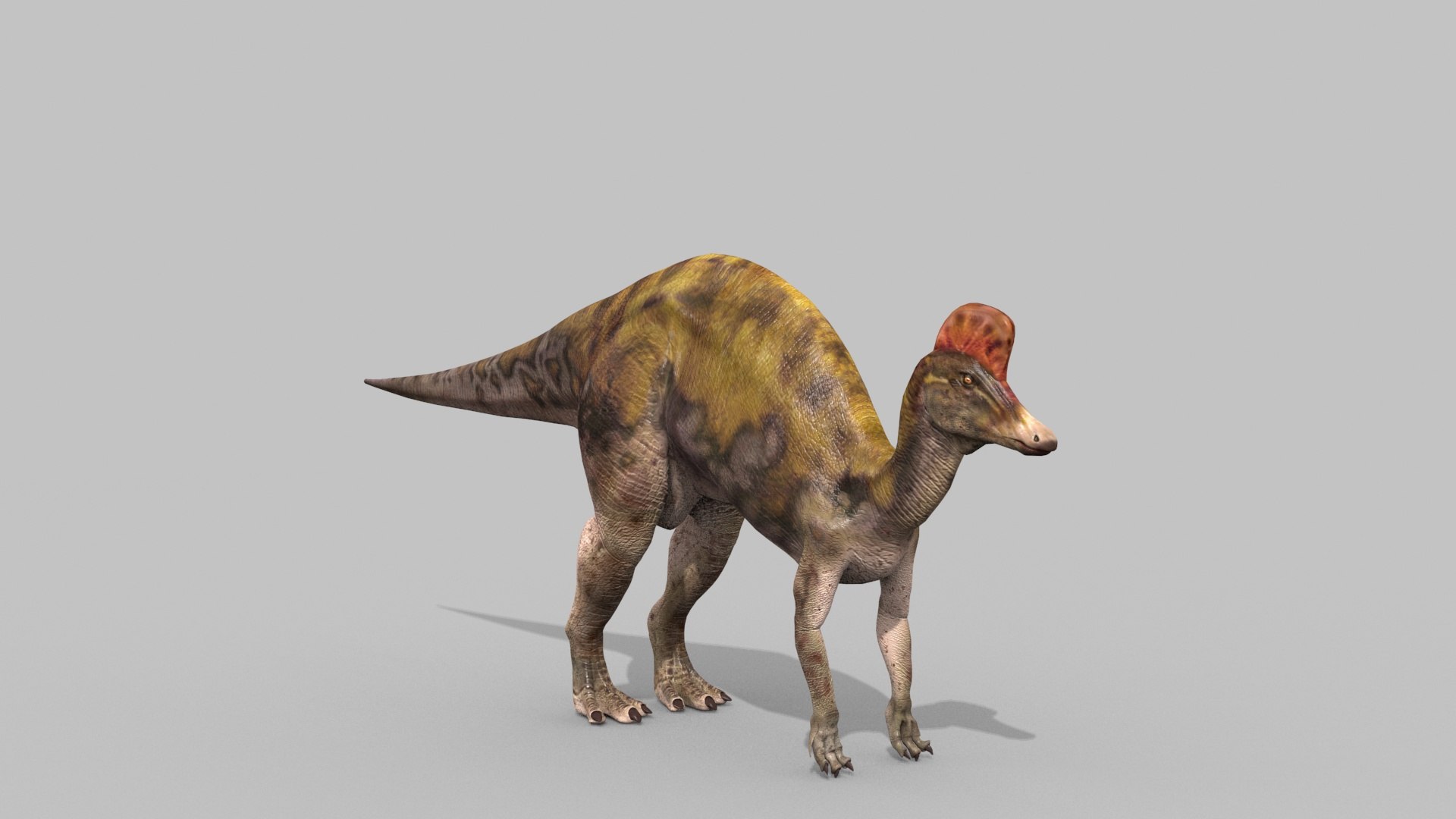 Real Animated Corythosaurus HD 3D Model - TurboSquid 2254511