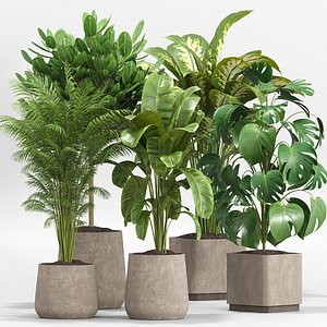 indoor Plant Set 015
