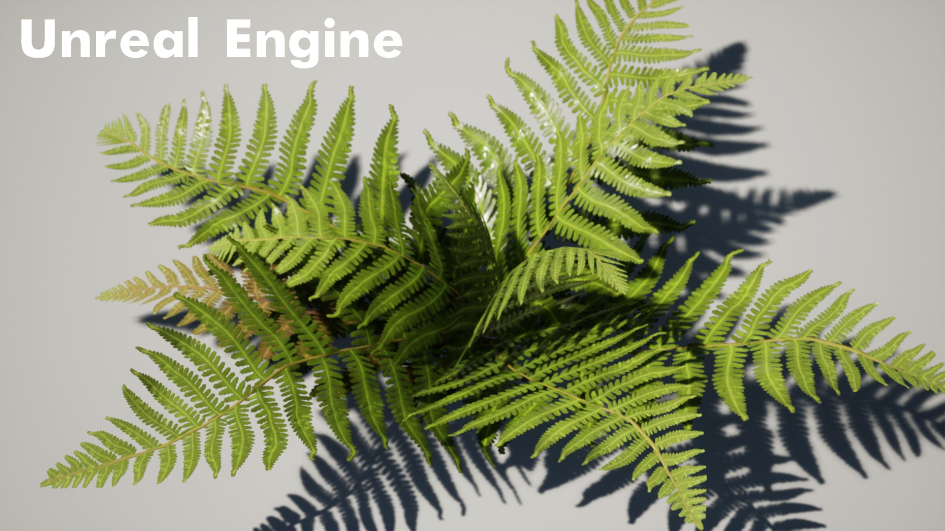 Forest Pack 3D https://p.turbosquid.com/ts-thumb/WE/FnI8u9/RN/highresscreenshot00004copys/jpg/1635506505/1920x1080/fit_q87/99d8b93e88b1976de4265f589d72309b19cab0b9/highresscreenshot00004copys.jpg
