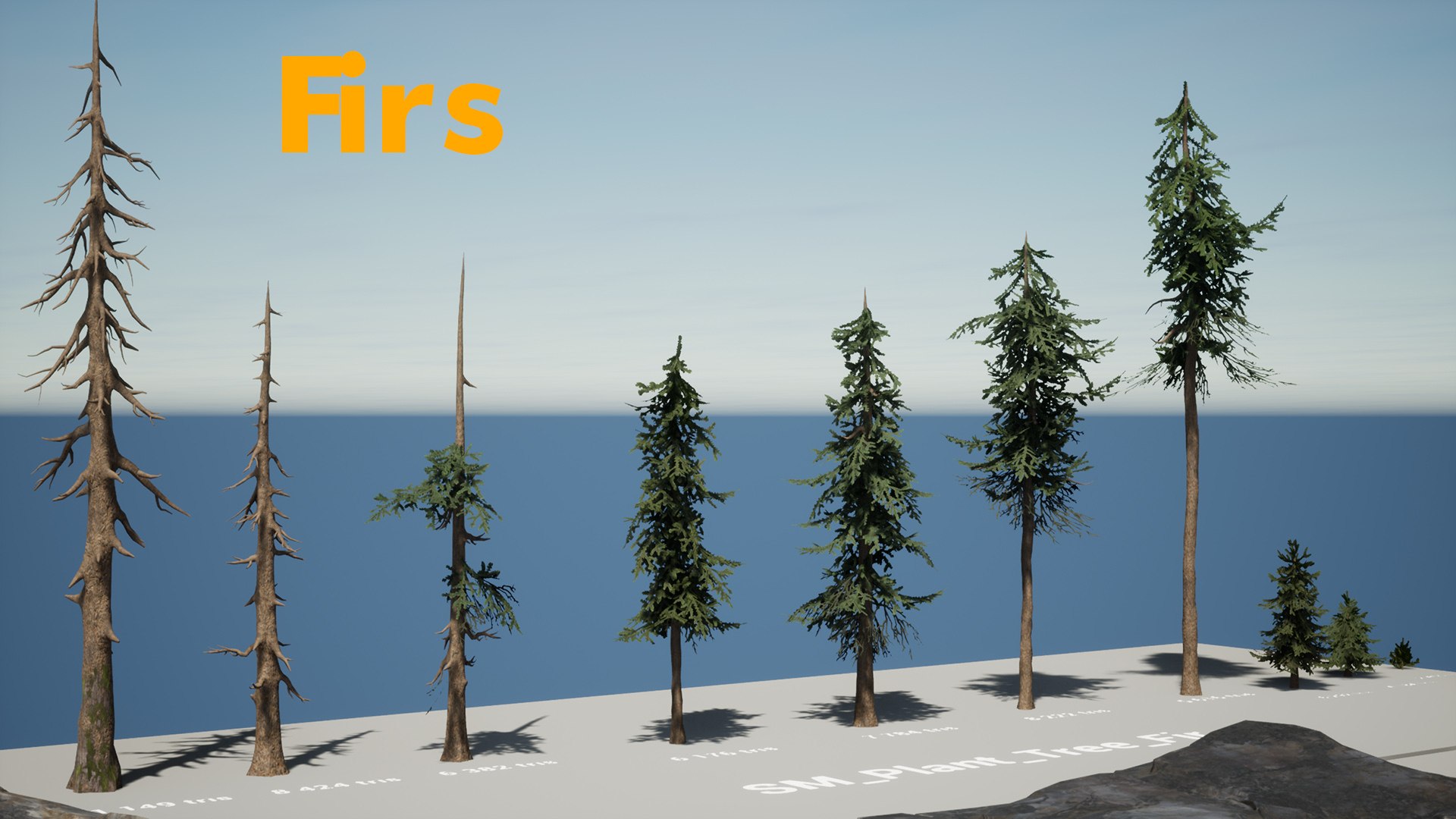 Forest Pack 3D https://p.turbosquid.com/ts-thumb/WE/FnI8u9/Ww/firscopy/jpg/1635506367/1920x1080/fit_q87/f8430bef70fa7d76b8aea3b97c54cacdf83a7472/firscopy.jpg