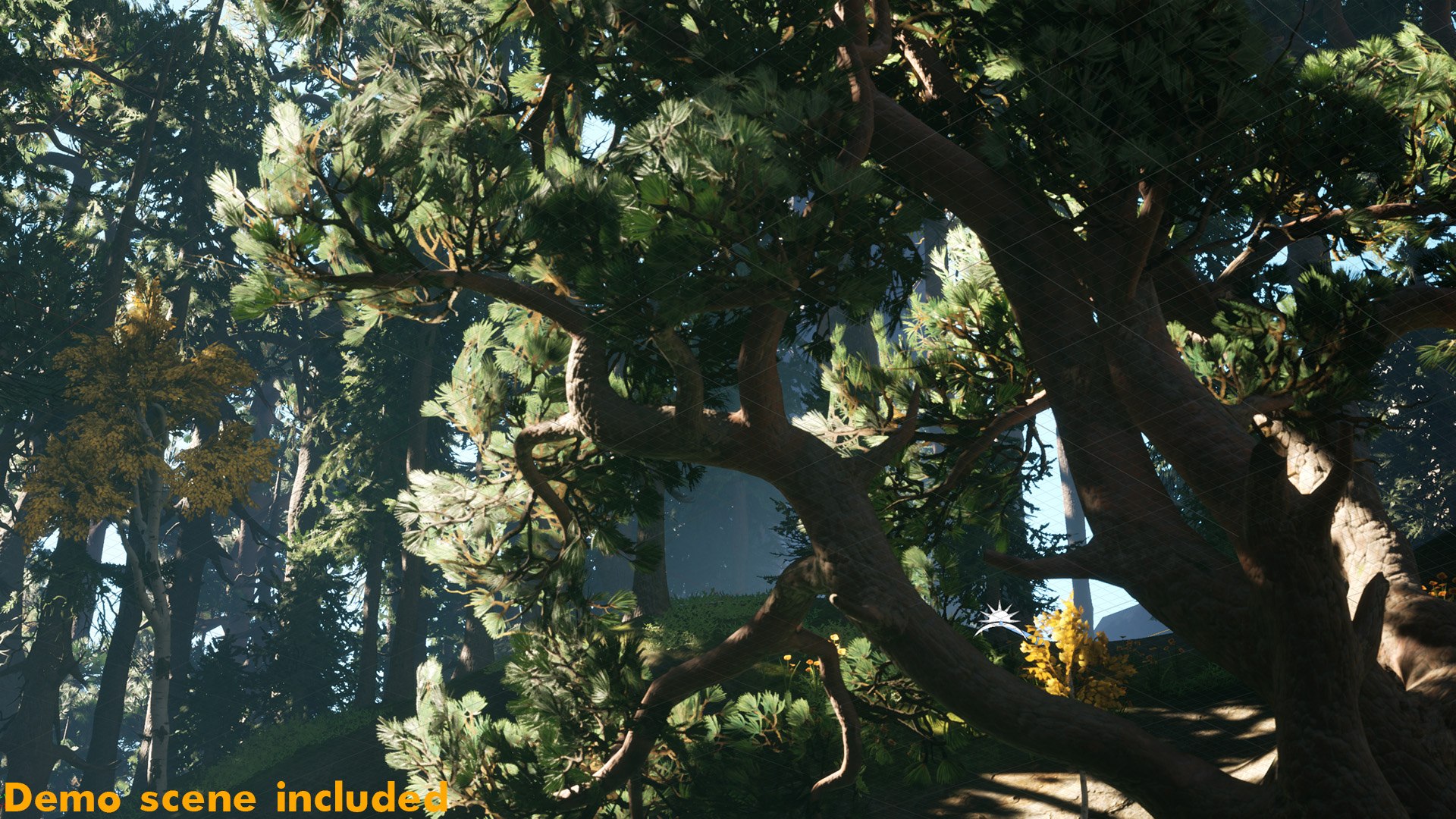 Forest Pack 3D https://p.turbosquid.com/ts-thumb/WE/FnI8u9/ah/demo_09copy/jpg/1635506356/1920x1080/fit_q87/c618d633d6ae7946b5f653f3497d70cf2070a18e/demo_09copy.jpg