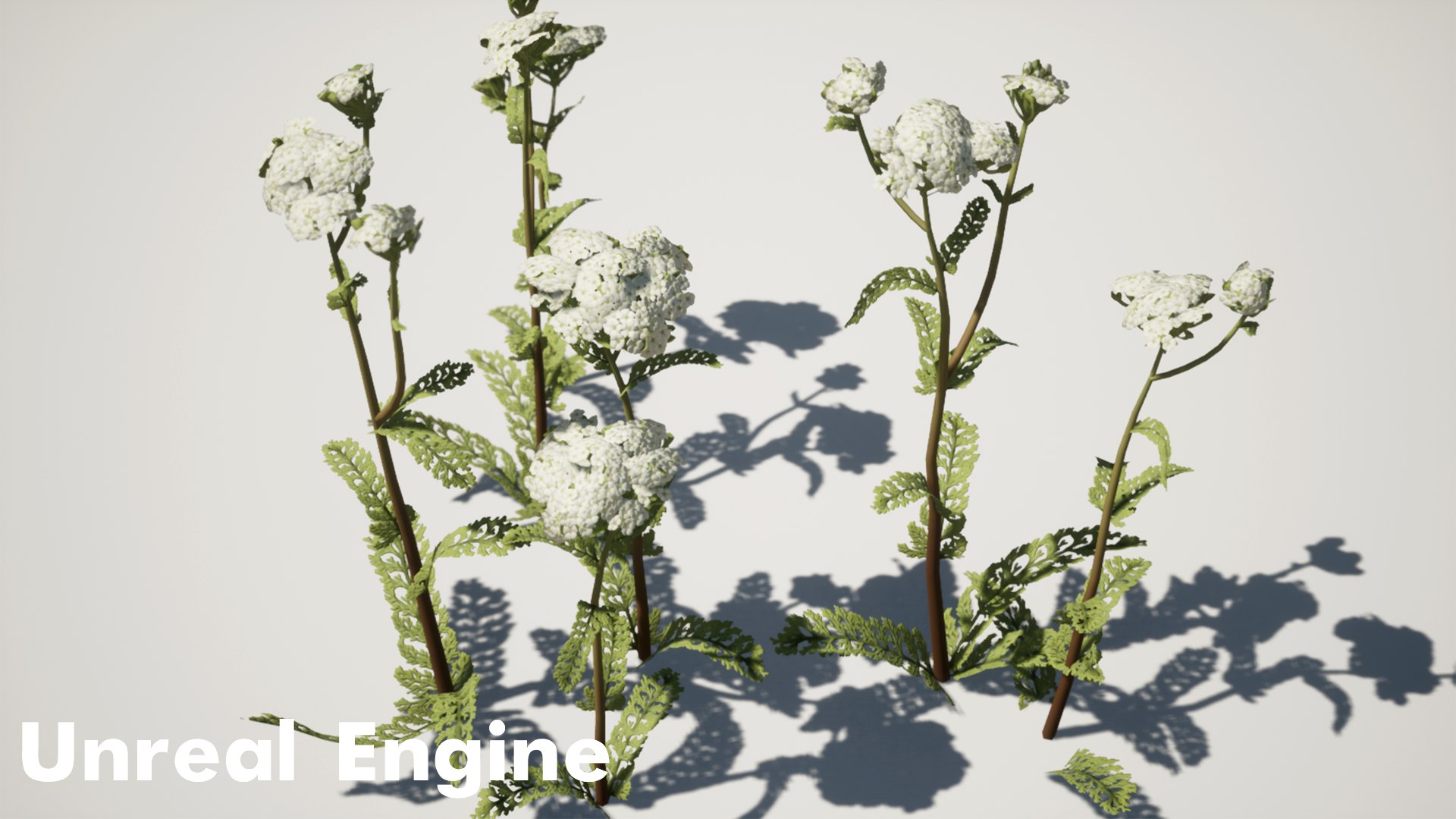 Forest Pack 3D https://p.turbosquid.com/ts-thumb/WE/FnI8u9/fG/highresscreenshot00003copy/png/1635506512/1920x1080/fit_q87/4f9ec6b22d6250ebe26c54c7336391a944808e8f/highresscreenshot00003copy.jpg