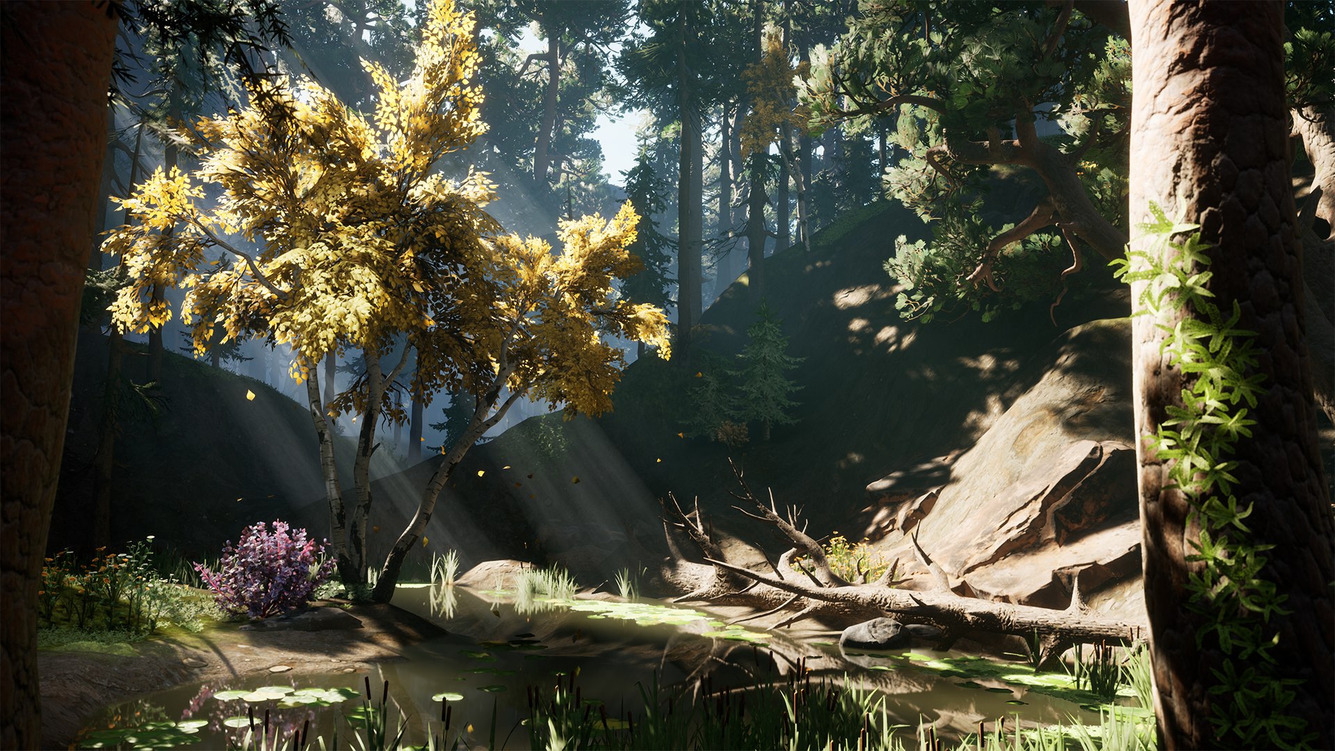 Forest Pack 3D https://p.turbosquid.com/ts-thumb/WE/FnI8u9/jk/demo_01/png/1635506336/1920x1080/fit_q87/703e482edb07fb8c06c87e98ea9401b77ea928e5/demo_01.jpg