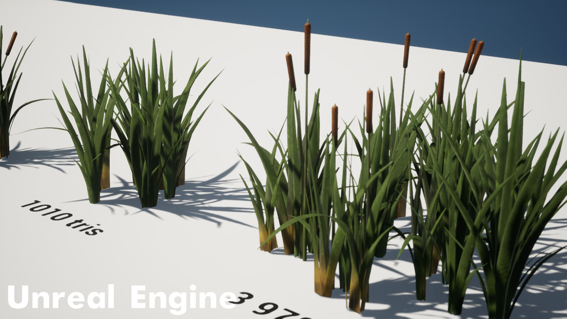 Forest Pack 3D https://p.turbosquid.com/ts-thumb/WE/FnI8u9/kF/highresscreenshot00004copy/jpg/1635506499/1920x1080/fit_q87/5ab940fddc6243ed20935263236531b667e9c762/highresscreenshot00004copy.jpg