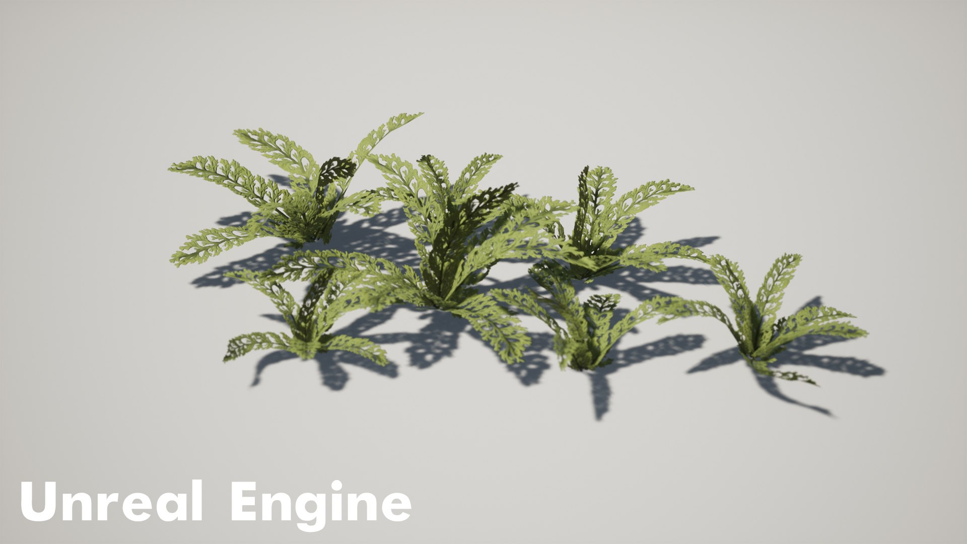 Forest Pack 3D https://p.turbosquid.com/ts-thumb/WE/FnI8u9/lV/highresscreenshot00006copy/jpg/1635506503/1920x1080/fit_q87/b75c1aeab6131c65ced67d5dfa2494b733909489/highresscreenshot00006copy.jpg