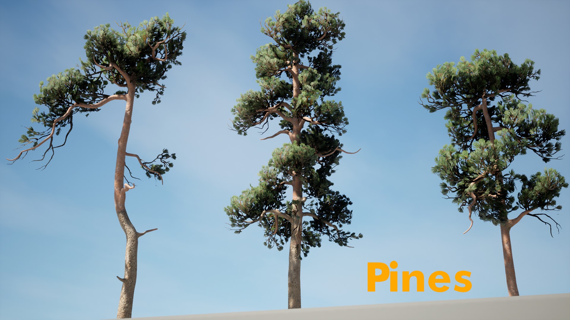 Forest Pack 3D https://p.turbosquid.com/ts-thumb/WE/FnI8u9/mU/pines_01copy/jpg/1635506374/1920x1080/fit_q87/d4165fb0638cb63eb7c2ec5d4c59fb933b1bc342/pines_01copy.jpg