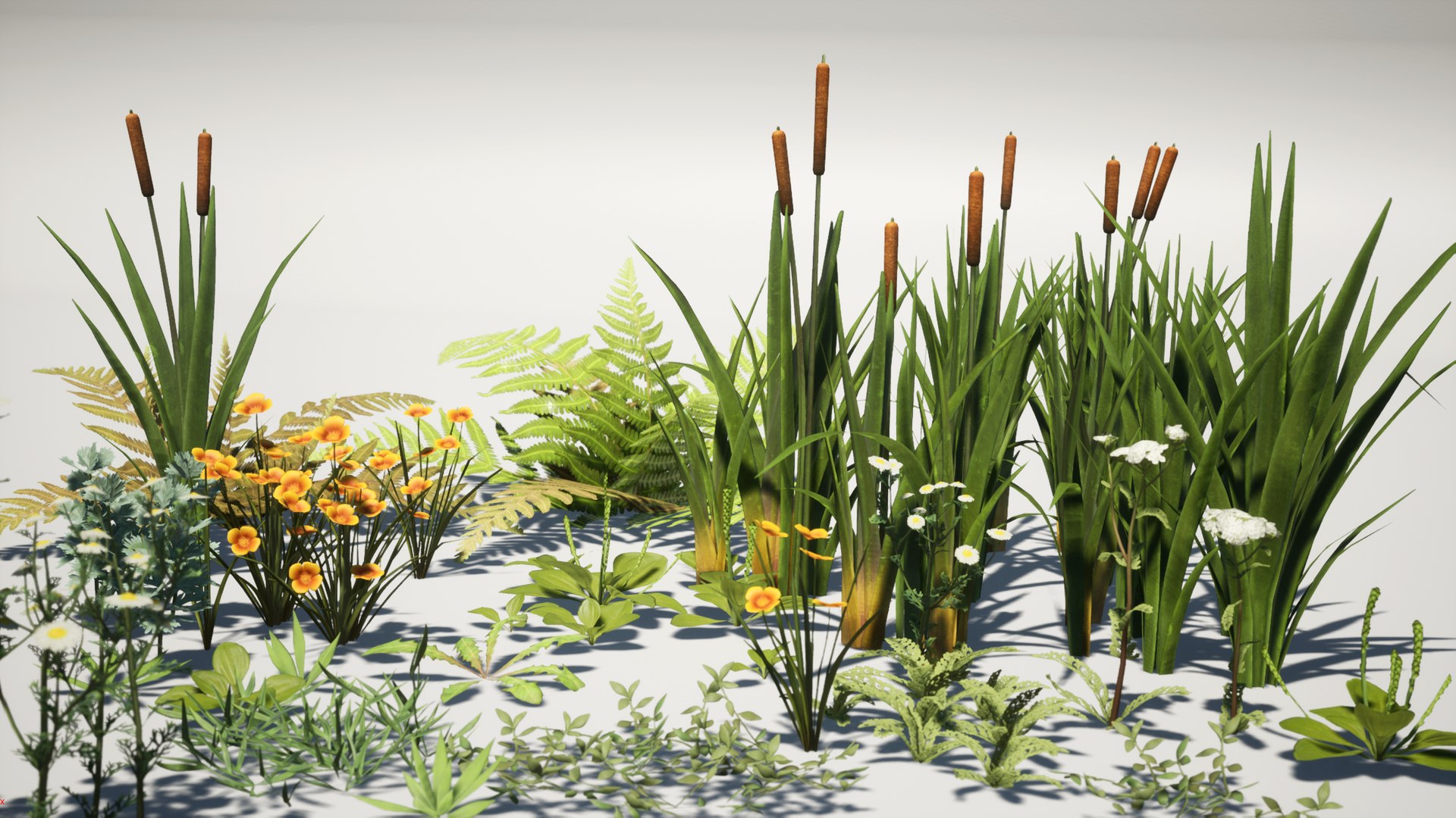 Forest Pack 3D https://p.turbosquid.com/ts-thumb/WE/FnI8u9/nc/highresscreenshot00001copy/png/1635506523/1920x1080/fit_q87/ad403f68a0cfa9e3d480c030ee102c9b0e37b6b1/highresscreenshot00001copy.jpg
