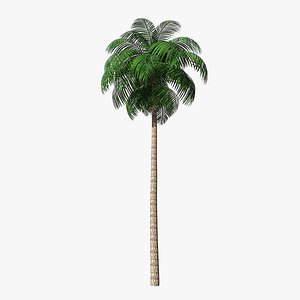 unreal palm leaf 3D