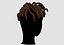 Curly Braids Hairstyle
