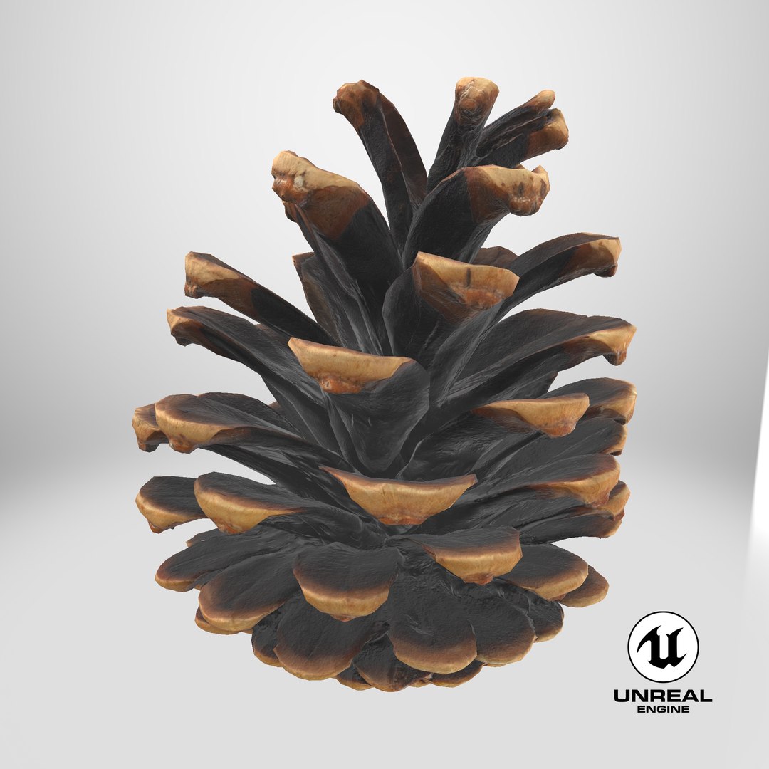 3D Prop 16 Pine Cones Type 01 https://p.turbosquid.com/ts-thumb/WE/l4D7Pu/AV/stemcell_unreal_render/png/1699625019/1920x1080/fit_q87/f832fe5241af1cb0d773ed9859847ea96d31b92d/stemcell_unreal_render.jpg
