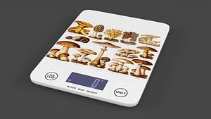 3D model Kitchen Scale