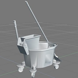 Bucket & Mop