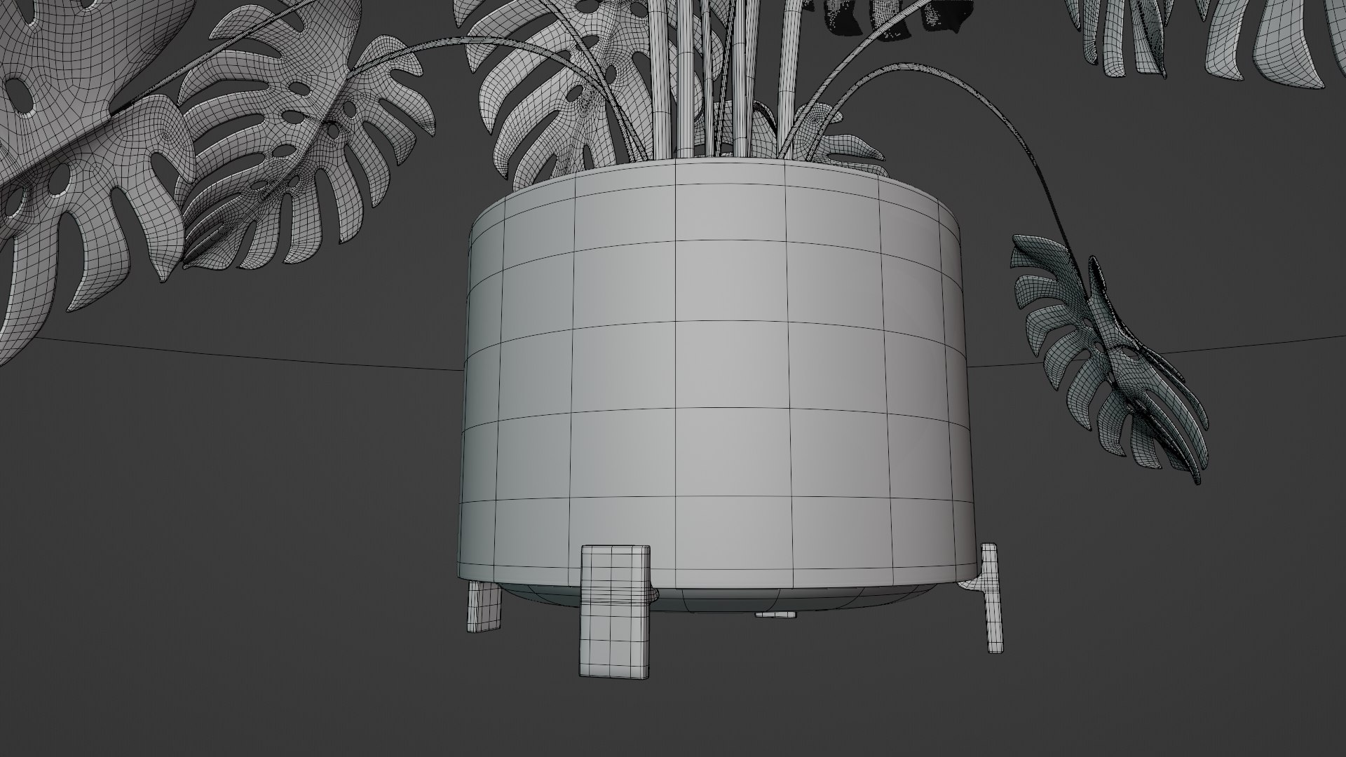 3D Monstera plant https://p.turbosquid.com/ts-thumb/WE/nohd6f/2g/wire5/png/1640374654/1920x1080/fit_q87/8e942ec29c7170e988abbd62ce9907d017930a30/wire5.jpg