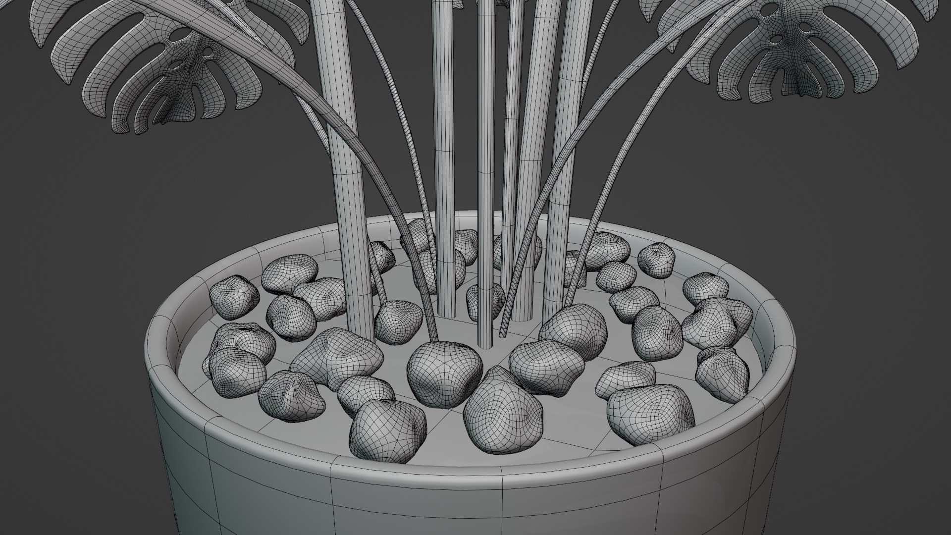 3D Monstera plant https://p.turbosquid.com/ts-thumb/WE/nohd6f/4M/wire3/png/1640374652/1920x1080/fit_q87/64dec7f152b173ded9b501bf9323dc9a94918bda/wire3.jpg