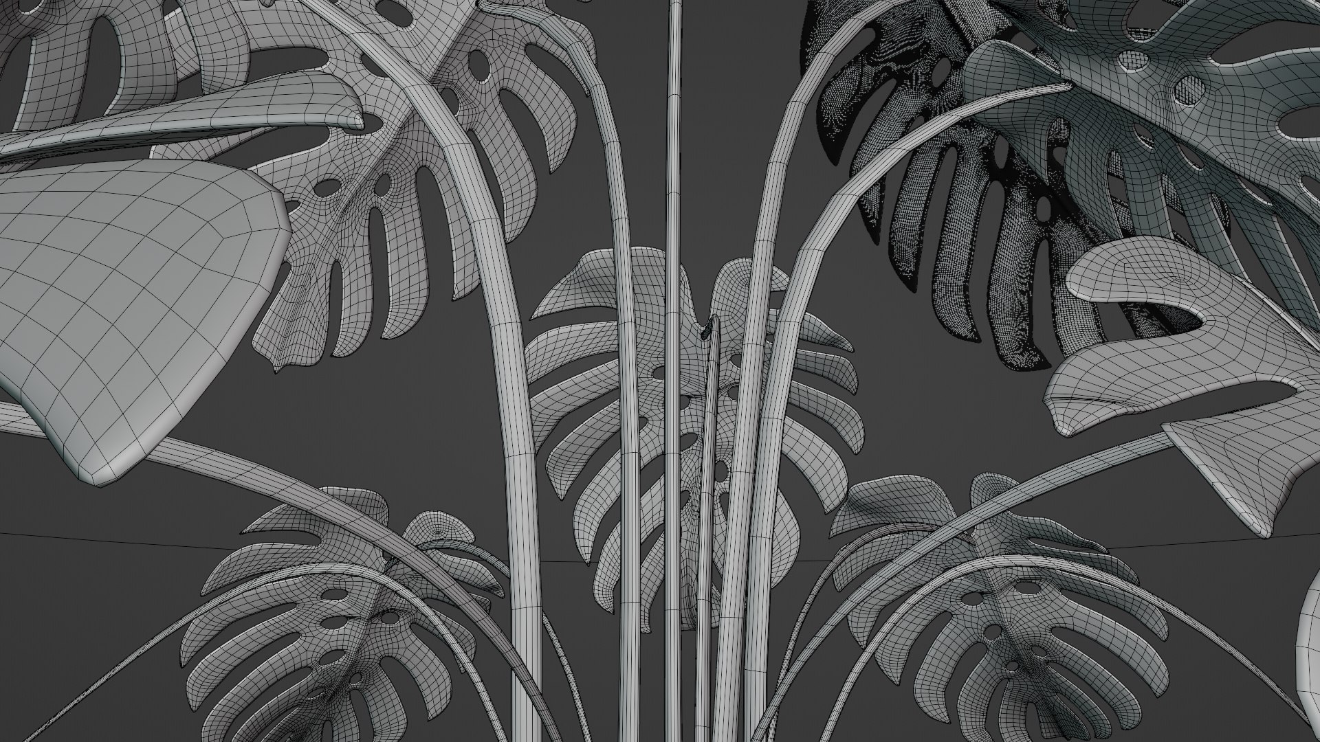 3D Monstera plant https://p.turbosquid.com/ts-thumb/WE/nohd6f/CL/wire2/png/1640374671/1920x1080/fit_q87/c86a7ac2076e5194c7037cb27fe42c47dd1dabba/wire2.jpg