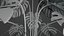 plante Monstera