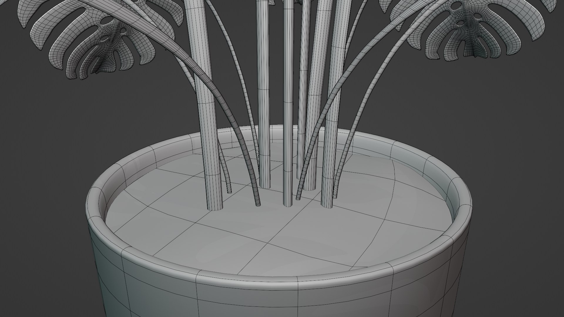 3D Monstera plant https://p.turbosquid.com/ts-thumb/WE/nohd6f/Fe/wire4/png/1640374655/1920x1080/fit_q87/35b8afc9f118da66fa26ae7e1588fb15ce338089/wire4.jpg