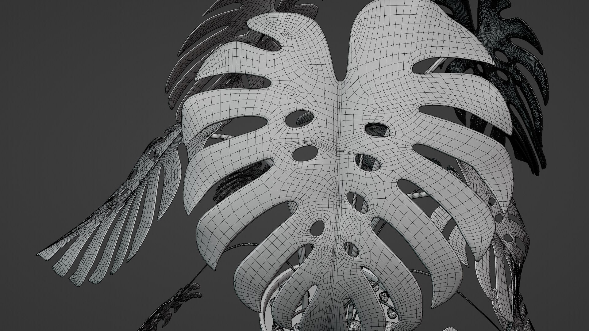 3D Monstera plant https://p.turbosquid.com/ts-thumb/WE/nohd6f/Ff/wire1/png/1640374657/1920x1080/fit_q87/d7aa14de9f65bdbea922d0b9de0fbfee0a0283d2/wire1.jpg