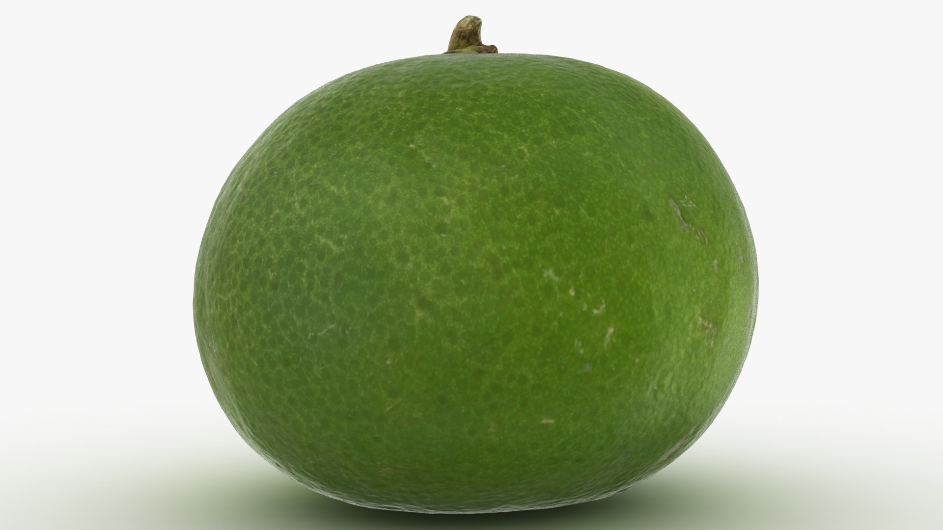 3D model lime small https://p.turbosquid.com/ts-thumb/WE/rMCoK6/Qm/35/jpg/1613633595/1920x1080/fit_q87/4dea8e6df7d7be167064eccb9abc7c37361b1eb5/35.jpg
